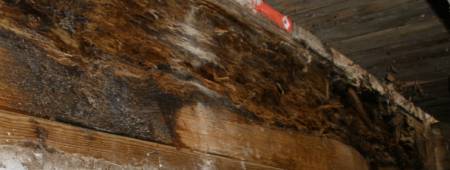 Wood Rot Repair