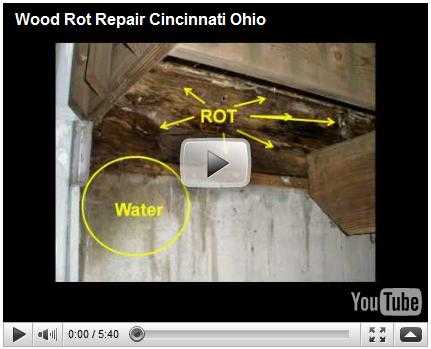 Wood Rot Video