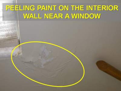 window leak rain peeling leaks paint during windows damage repair drywall mold bottom call help wood mastermylist problems paint1 2914