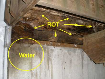 Wood Rot Repair Info | ProMaster Cincinnati (513) 724-0539