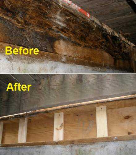 Wood Rot Repairs