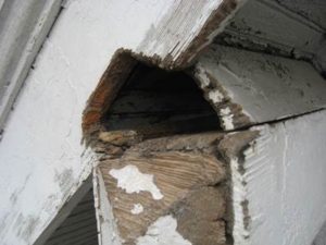 Soffit Damage from Raccoon