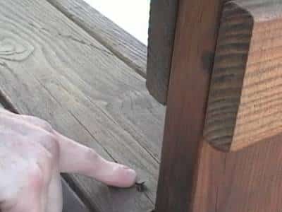Nails Sticking Up From Deck Boards