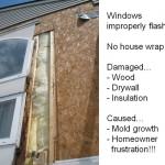 Window Leak Case Study 1