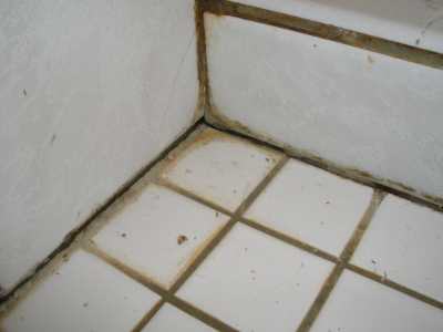 Bathroom Shower Tile - Failed Grout