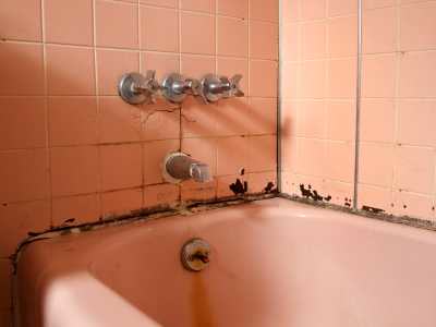 Bathroom Shower Tile Repair - Mold