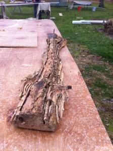 wood rot termite damage