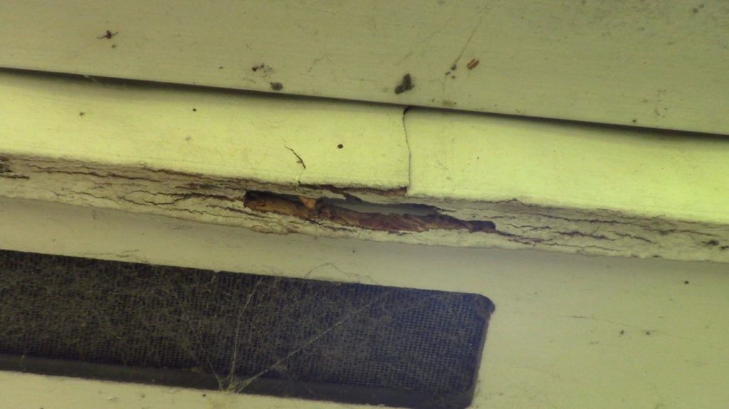 wood-rot-fascia-board-repair-promaster-cincinnati