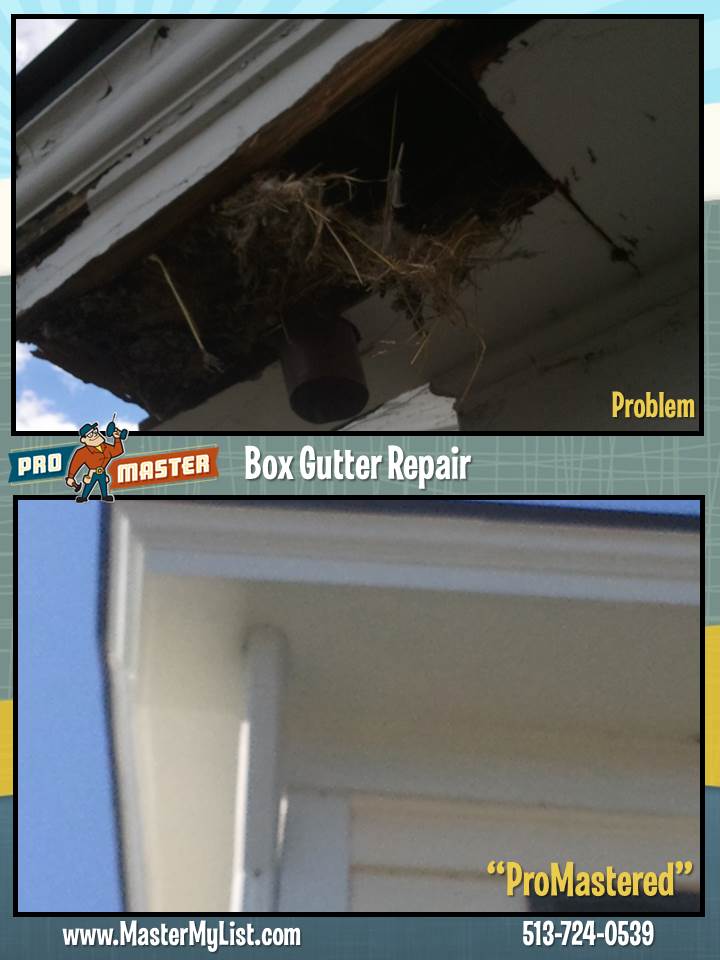 Box Gutter Repair