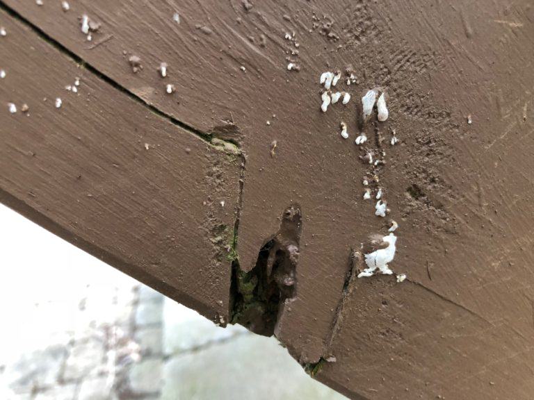 Deck Wood Rot Repair