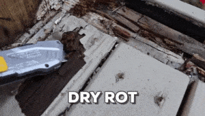 wood dry rot gif outdoor board improvement home repair and handyman services in cincinnati OH