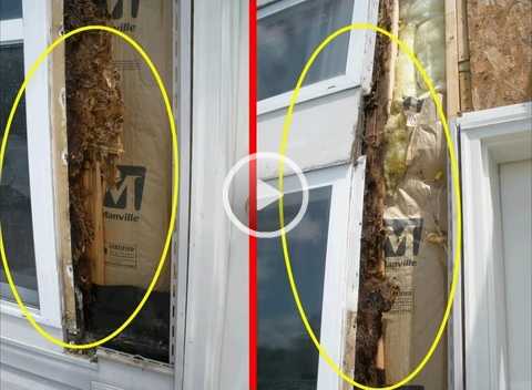Video - Signs that Your Home Has a Serious Window Leak