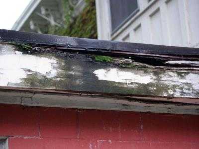 fascia board wood rot outdoor home repair and handyman services in cincinnati OH