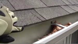 Gutter Cleaning Video