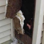 Interior Wood Rot Caused by Leaking Siding
