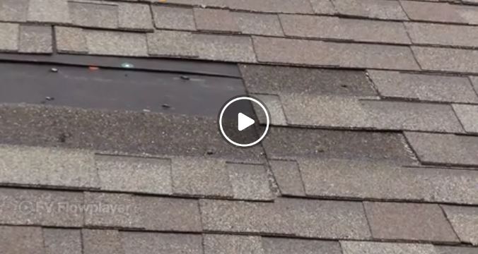 roof shingle replace install outdoor improvement home repair and handyman services in cincinnati OH