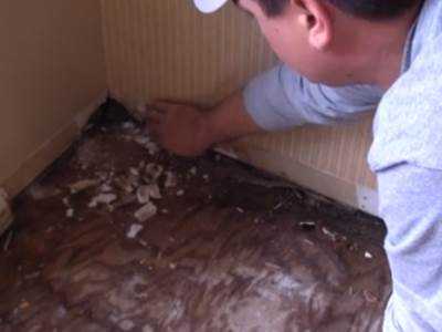subfloor wood rot trim floor interior improvement home repair and handyman services in cincinnati OH