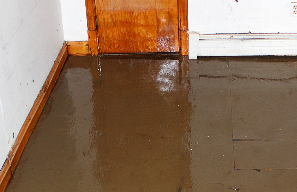basement flood interior home repair and handyman services in cincinnati OH