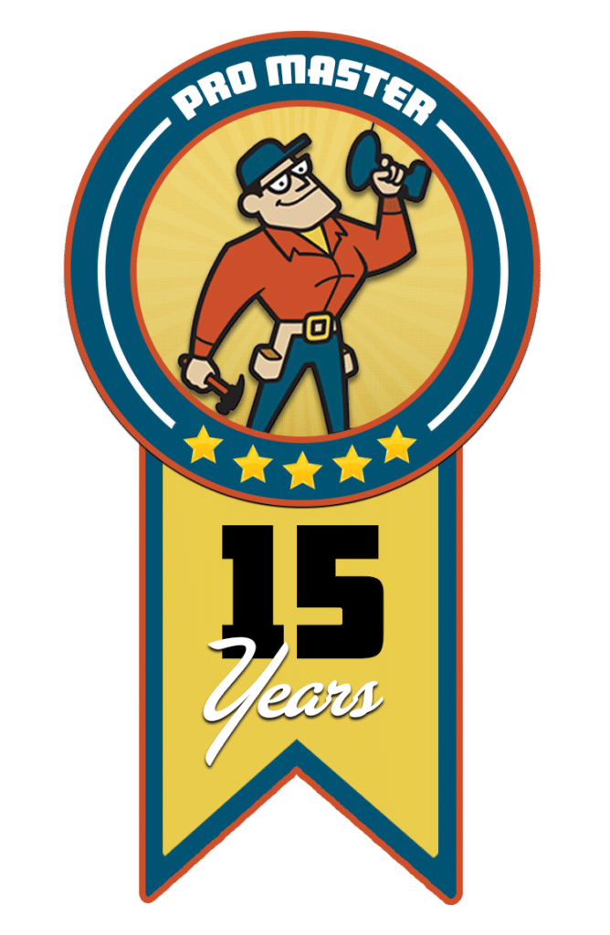 15 Years of Promaster Logo